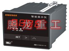 溫度表、數(shù)字顯示儀、濕度表