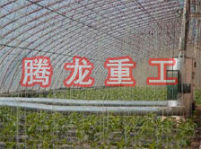 大棚花卉供暖設(shè)備、大棚卉采暖設(shè)備、大棚花卉取暖設(shè)備