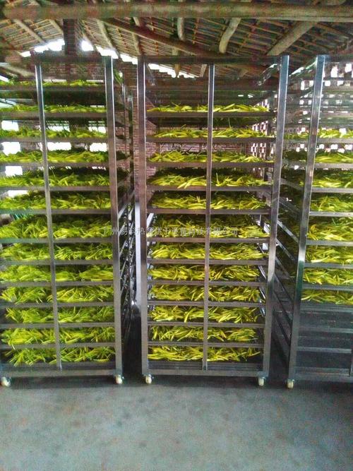 黃花菜烘干機(jī)、黃花菜烘干設(shè)備、黃花菜干燥機(jī)、黃花菜干燥設(shè)備、